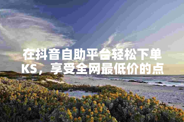在抖音自助平台轻松下单KS，享受全网最低价的点赞服务。