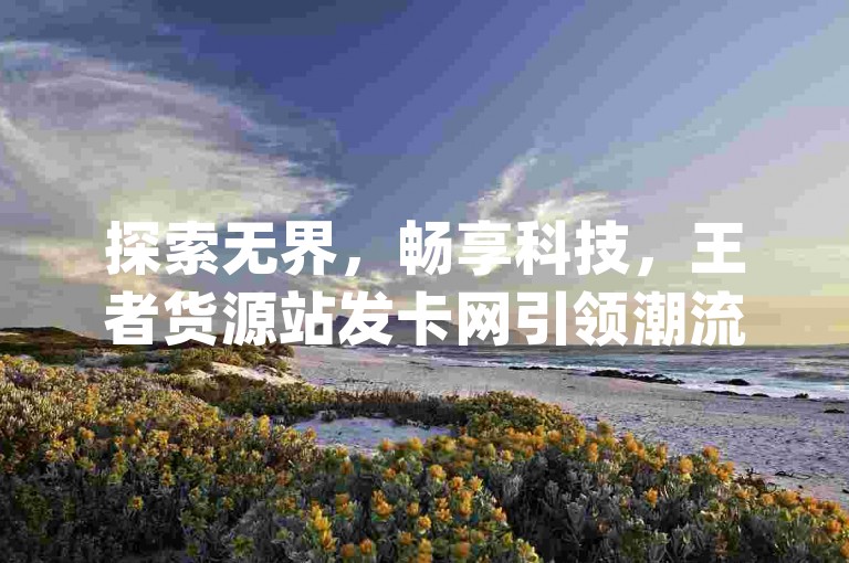 探索无界，畅享科技，王者货源站发卡网引领潮流，打造安全无封的科技辅助体验，更有qq空间互赞免费领取网站等你来发现。