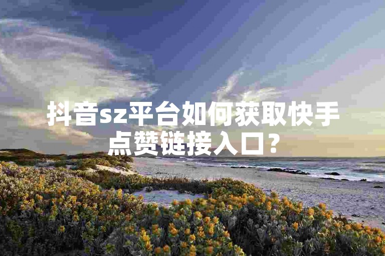 抖音sz平台如何获取快手点赞链接入口？