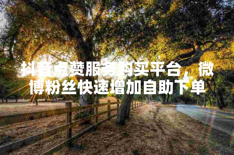 抖音点赞服务购买平台，微博粉丝快速增加自助下单平台。