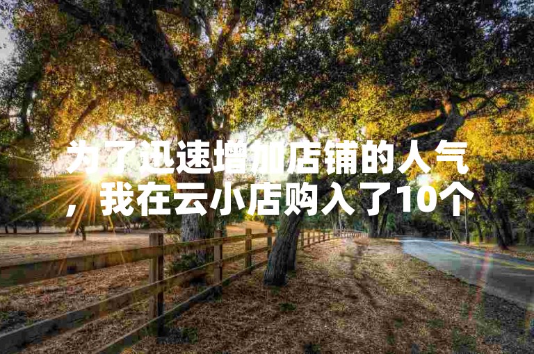 为了迅速增加店铺的人气，我在云小店购入了10个点赞。