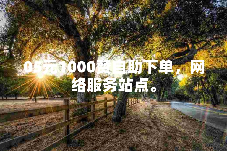 05元1000赞自助下单，网络服务站点。