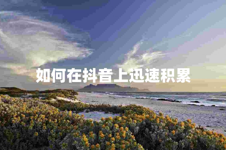 如何在抖音上迅速积累500名粉丝并提升影响力。