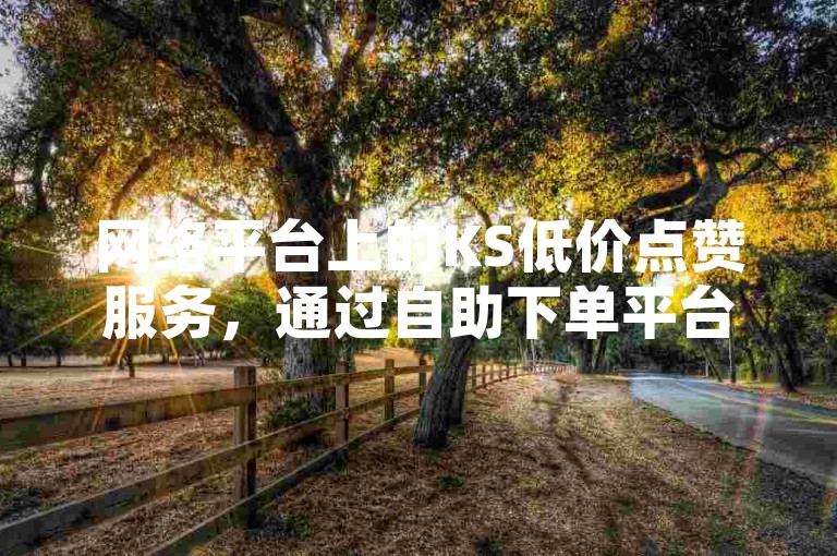 网络平台上的KS低价点赞服务，通过自助下单平台实现在线盈利。