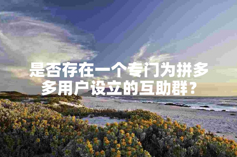是否存在一个专门为拼多多用户设立的互助群？