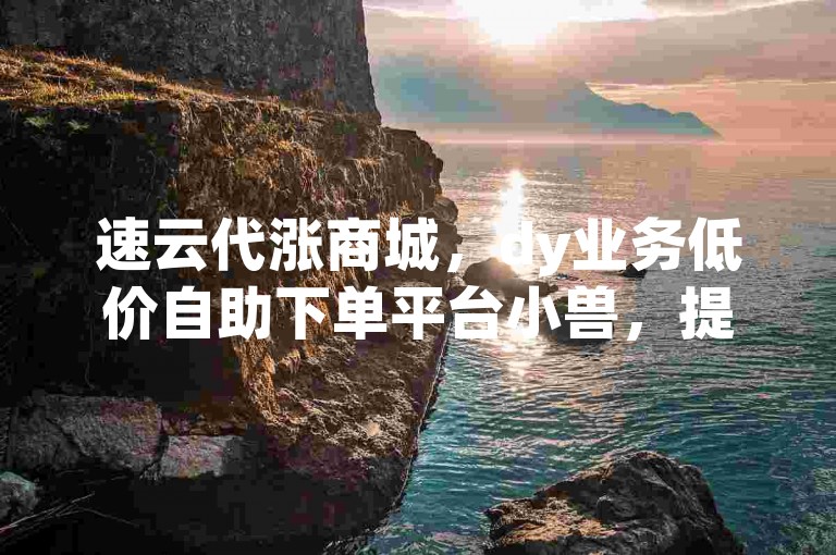 速云代涨商城，dy业务低价自助下单平台小兽，提供便捷的服务体验。