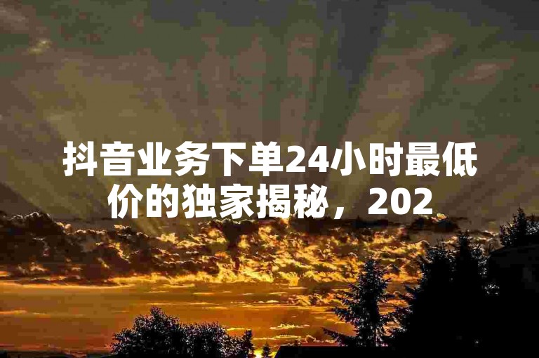 抖音业务下单24小时最低价的独家揭秘，2025必学的24小时最低价抖音业务下单攻略！