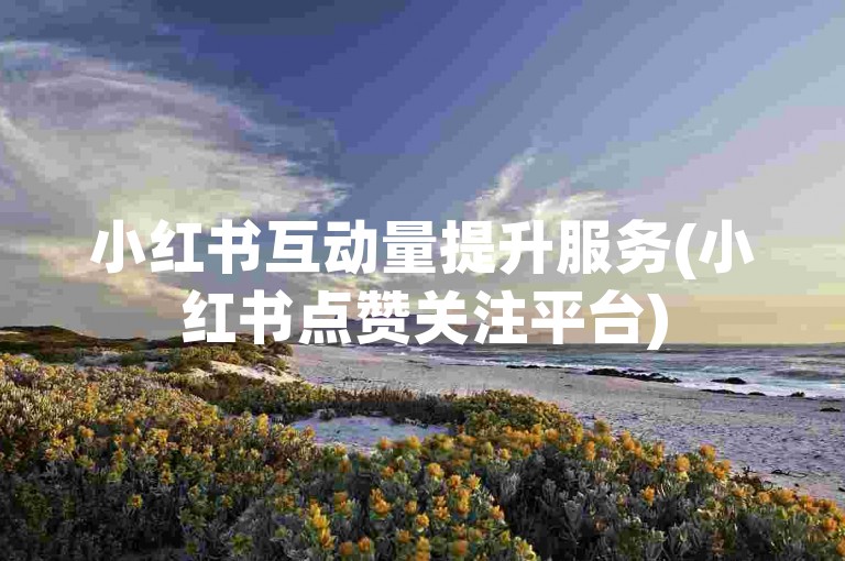 小红书互动量提升服务(小红书点赞关注平台)