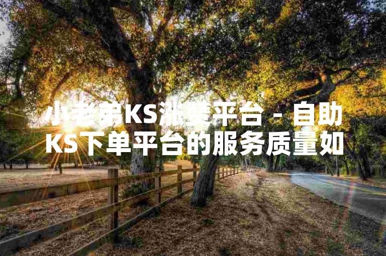 小老弟KS涨赞平台 - 自助KS下单平台的服务质量如何？