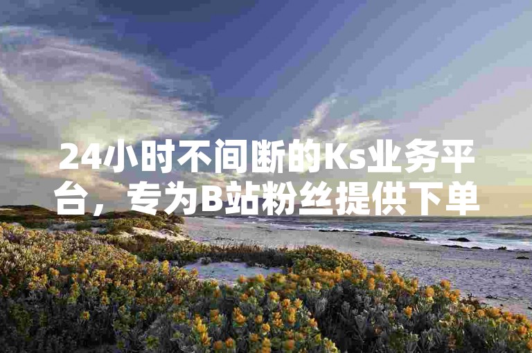 24小时不间断的Ks业务平台，专为B站粉丝提供下单服务。