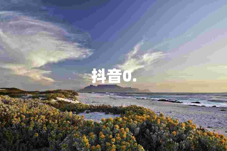 抖音0.5元1000赞-抖音真人粉丝,小七自助下单平台