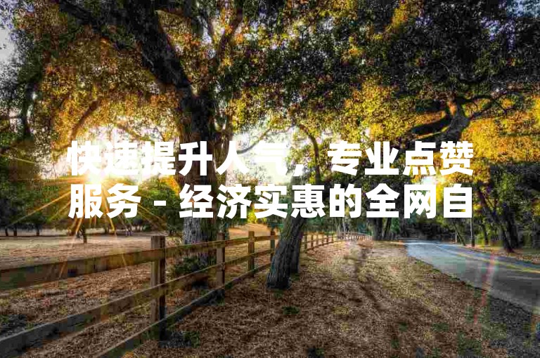 快速提升人气，专业点赞服务 - 经济实惠的全网自助点赞方案 - 轻松为QQ空间动态赢得更多赞。