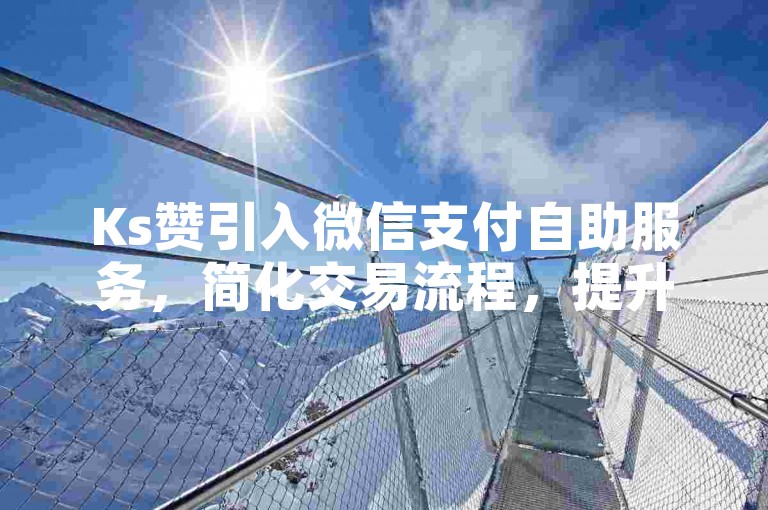 Ks赞引入微信支付自助服务，简化交易流程，提升用户体验。