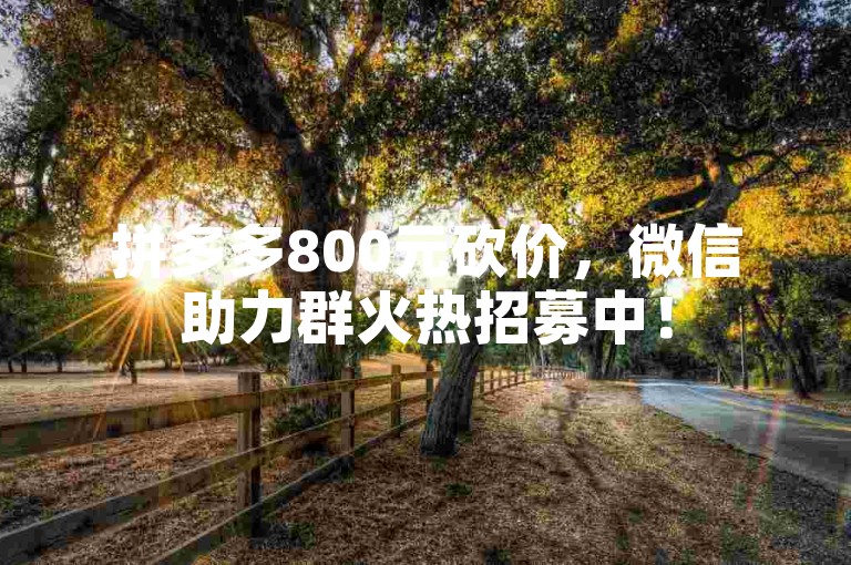拼多多800元砍价，微信助力群火热招募中！