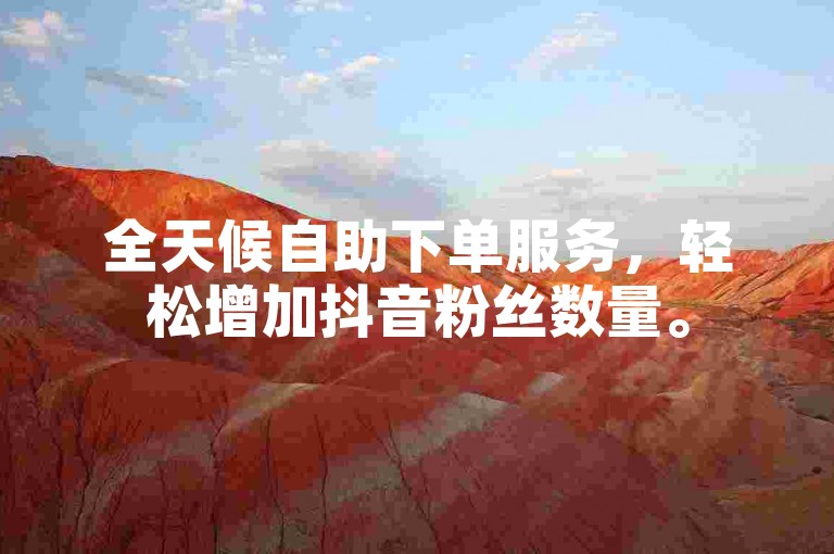 全天候自助下单服务，轻松增加抖音粉丝数量。