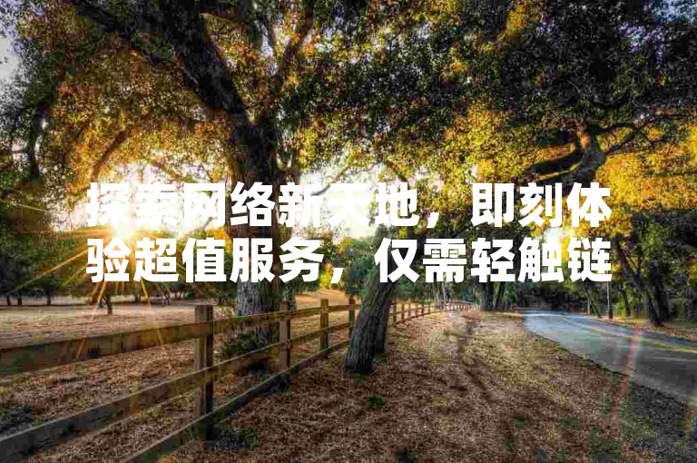 探索网络新天地，即刻体验超值服务，仅需轻触链接，快手、抖音、B站等你来征服。