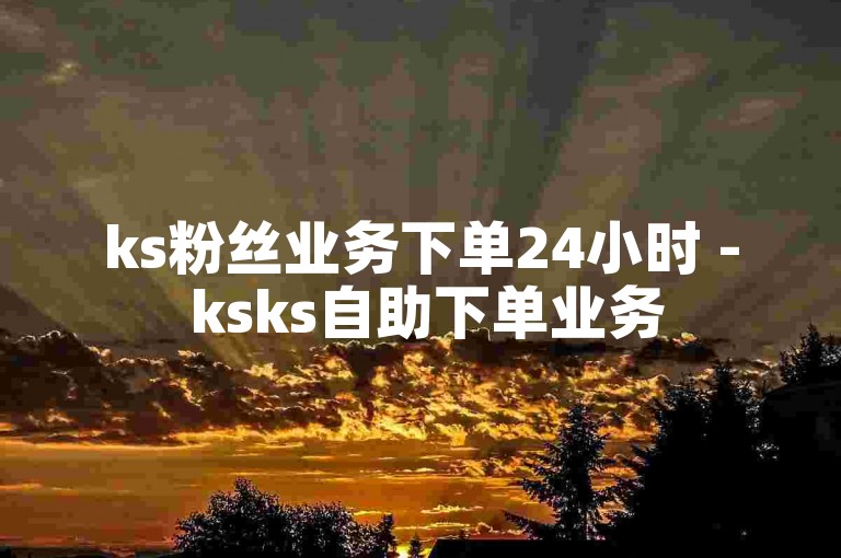 ks粉丝业务下单24小时 - ksks自助下单业务