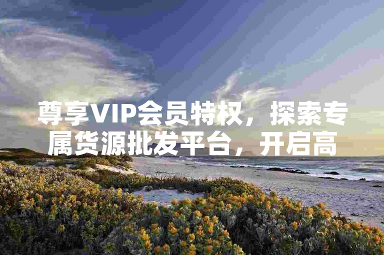 尊享VIP会员特权，探索专属货源批发平台，开启高效采购之旅。