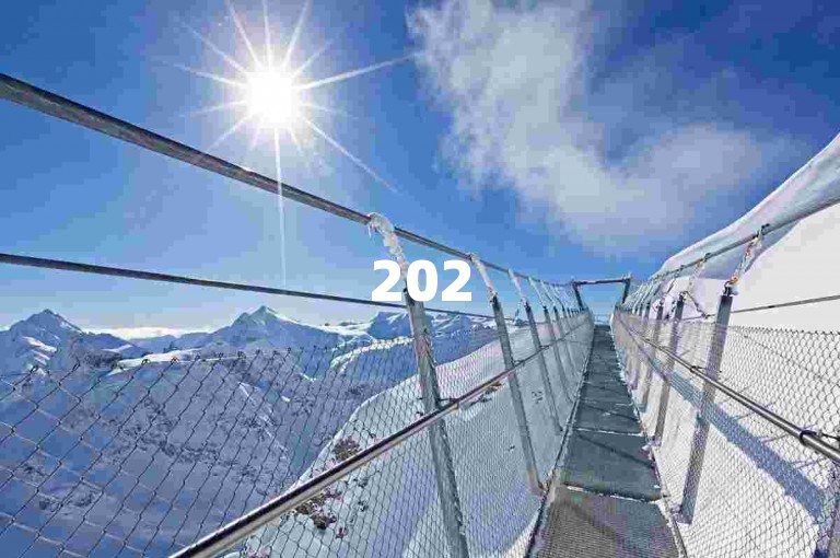2025年拼多多互助群拼多多助力网站将为大家提供更便捷的互助服务。