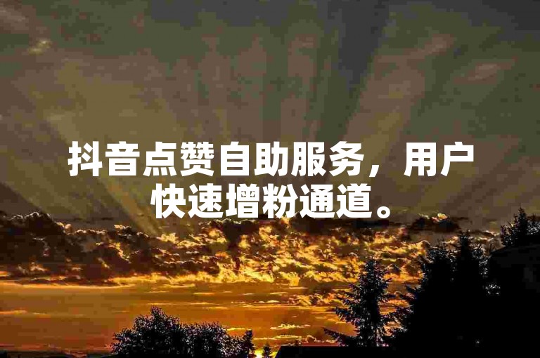 抖音点赞自助服务，用户快速增粉通道。