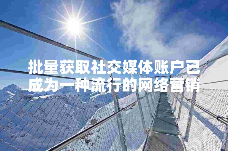 批量获取社交媒体账户已成为一种流行的网络营销策略。