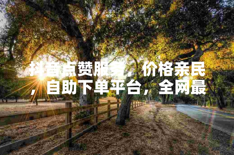 抖音点赞服务，价格亲民，自助下单平台，全网最低价。