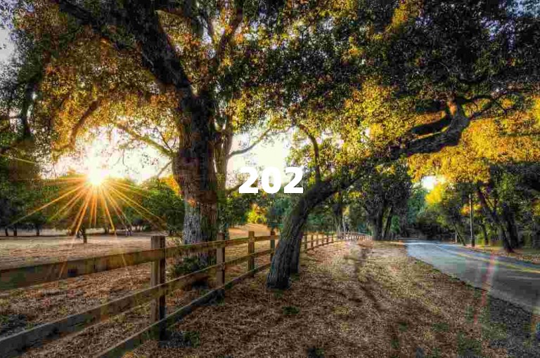 2025年拼多多互助平台{2025多多助力群}