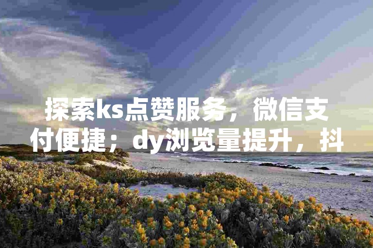 探索ks点赞服务，微信支付便捷；dy浏览量提升，抖音快手优惠策略大公开。