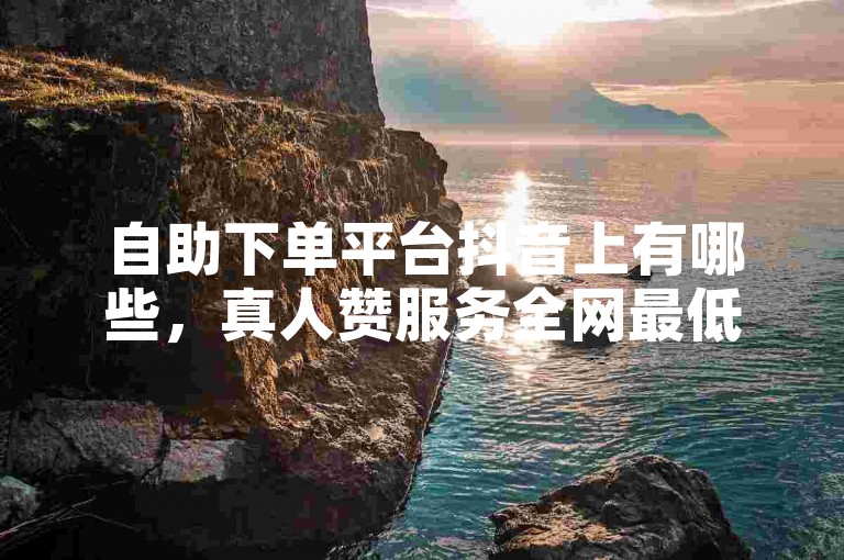自助下单平台抖音上有哪些，真人赞服务全网最低价。