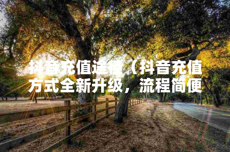 抖音充值途径（抖音充值方式全新升级，流程简便高效）
