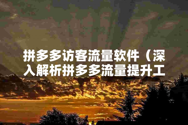 拼多多访客流量软件（深入解析拼多多流量提升工具及其高效使用方法）