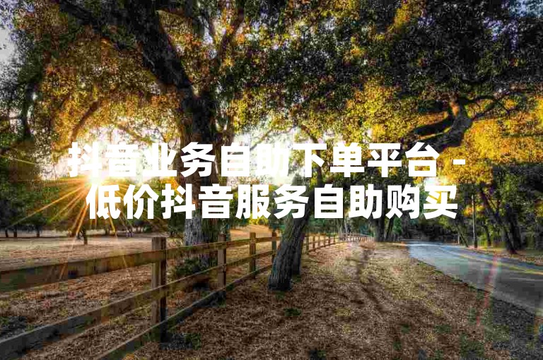 抖音业务自助下单平台 - 低价抖音服务自助购买