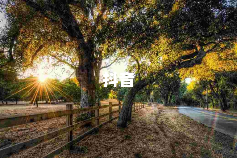 抖音52级号能卖多少钱(抖音52级号价值多少)