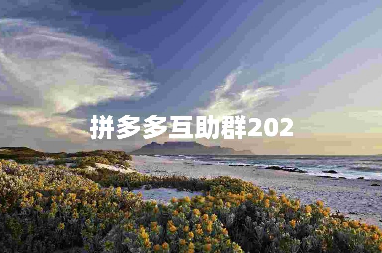 拼多多互助群2025{pdd助力刷人}