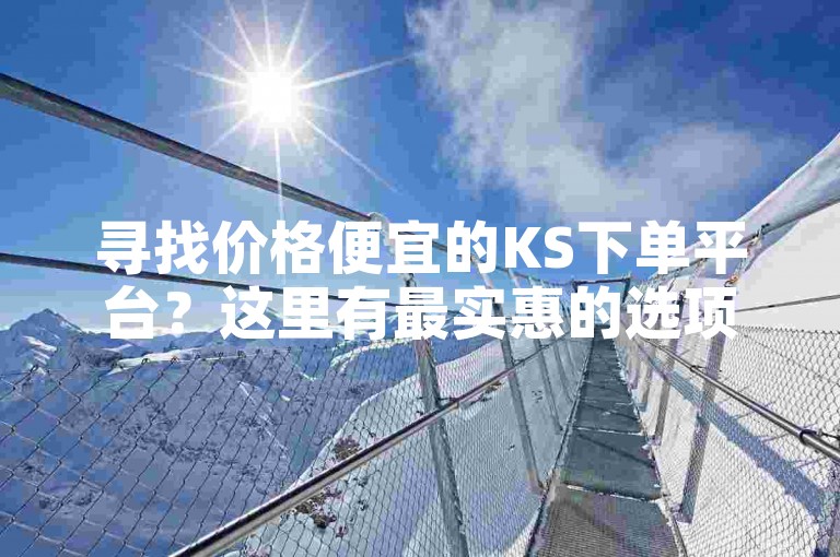 寻找价格便宜的KS下单平台？这里有最实惠的选项供您选择