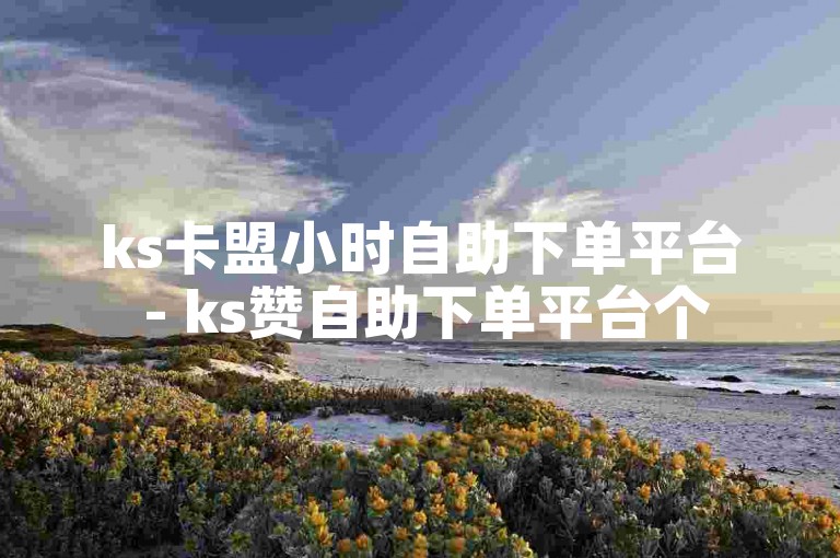ks卡盟小时自助下单平台 - ks赞自助下单平台个